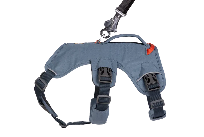 Web Master Harness