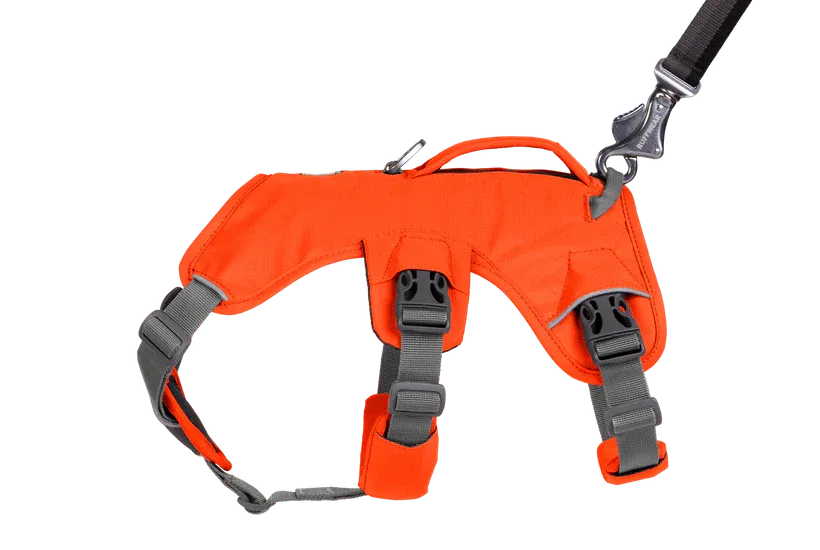 Web Master Harness