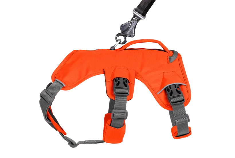 Web Master Harness